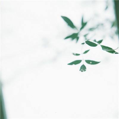 使命枪战手机游戏(暂未上线)v2.1.8 安卓最新版