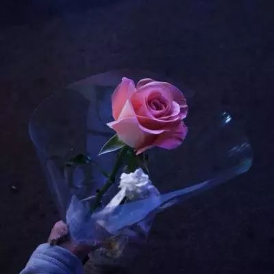 长生绝内购破解版下载