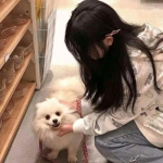 英雄神枪手手游下载